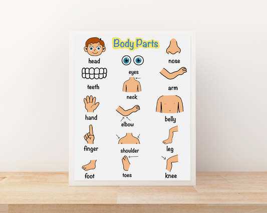 Body Parts Educational Poster for Toddlers Colorful Learning Wall Art for Kids Perfect for Playrooms Classrooms and Nurseries