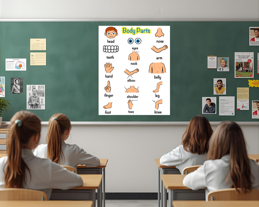 Body Parts Educational Poster for Toddlers Colorful Learning Wall Art for Kids Perfect for Playrooms Classrooms and Nurseries
