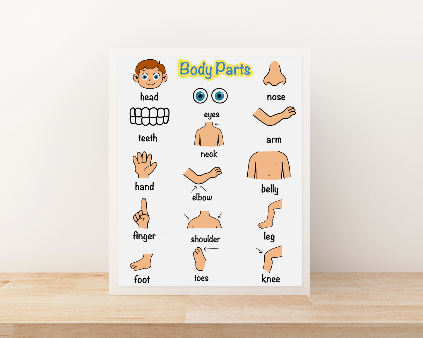 Body Parts Educational Poster for Toddlers Colorful Learning Wall Art for Kids Perfect for Playrooms Classrooms and Nurseries